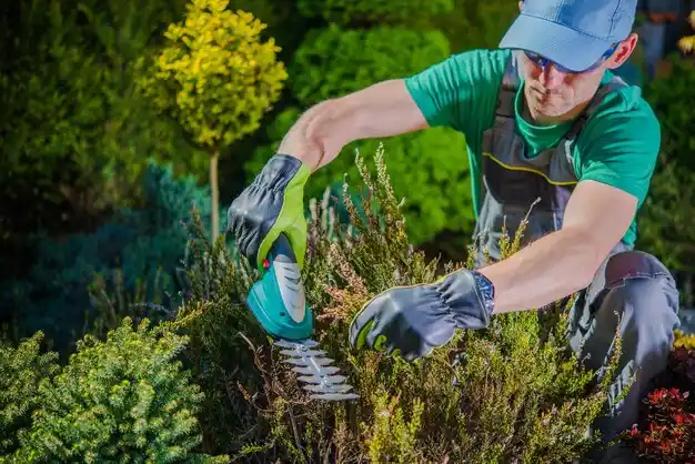 landscaping services Haslett